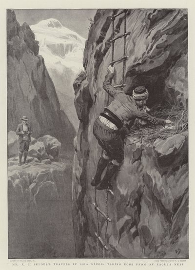 De Reizen van de Heer F.C. Selous in Klein-Azië, eieren uit een arendsnest halen door Frank Dadd